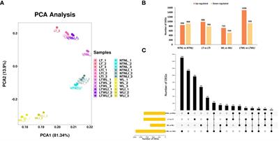 Arbuscular mycorrhizal fungi enhanced resistance to low-temperature weak-light stress in snapdragon (Antirrhinum majus L.) through physiological and transcriptomic responses